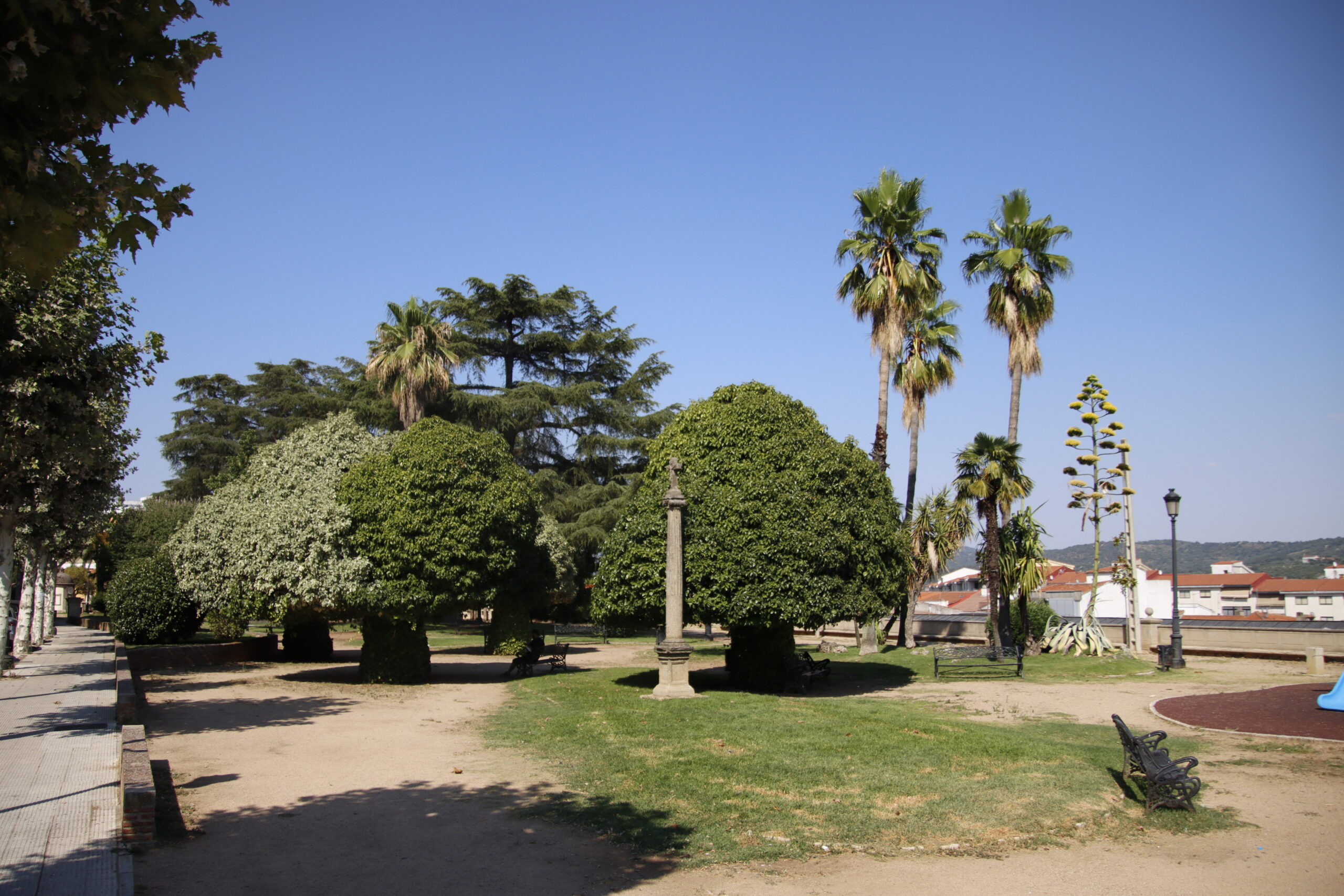 Foto del Parque de la Rana