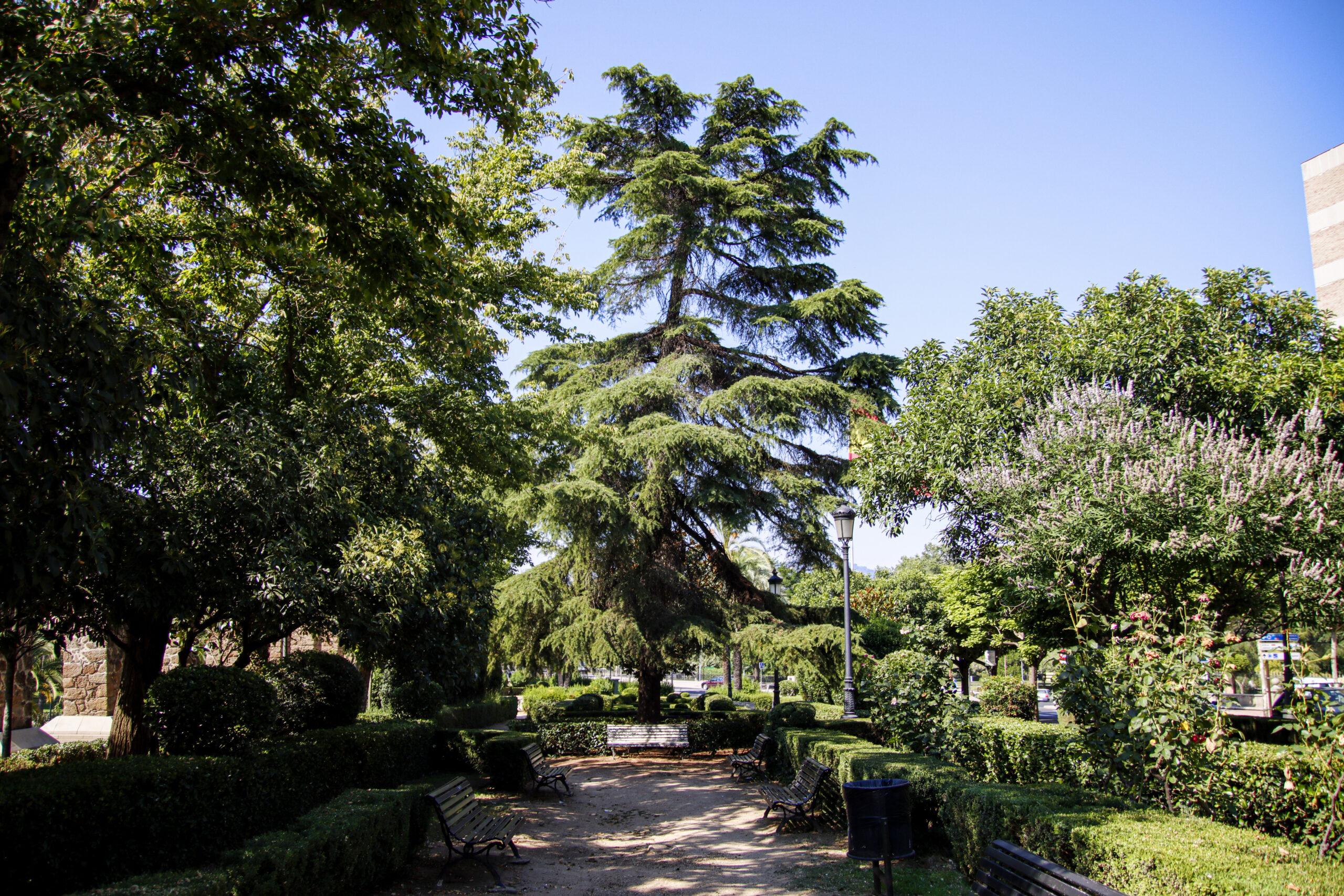 Foto del Parque de San Antón