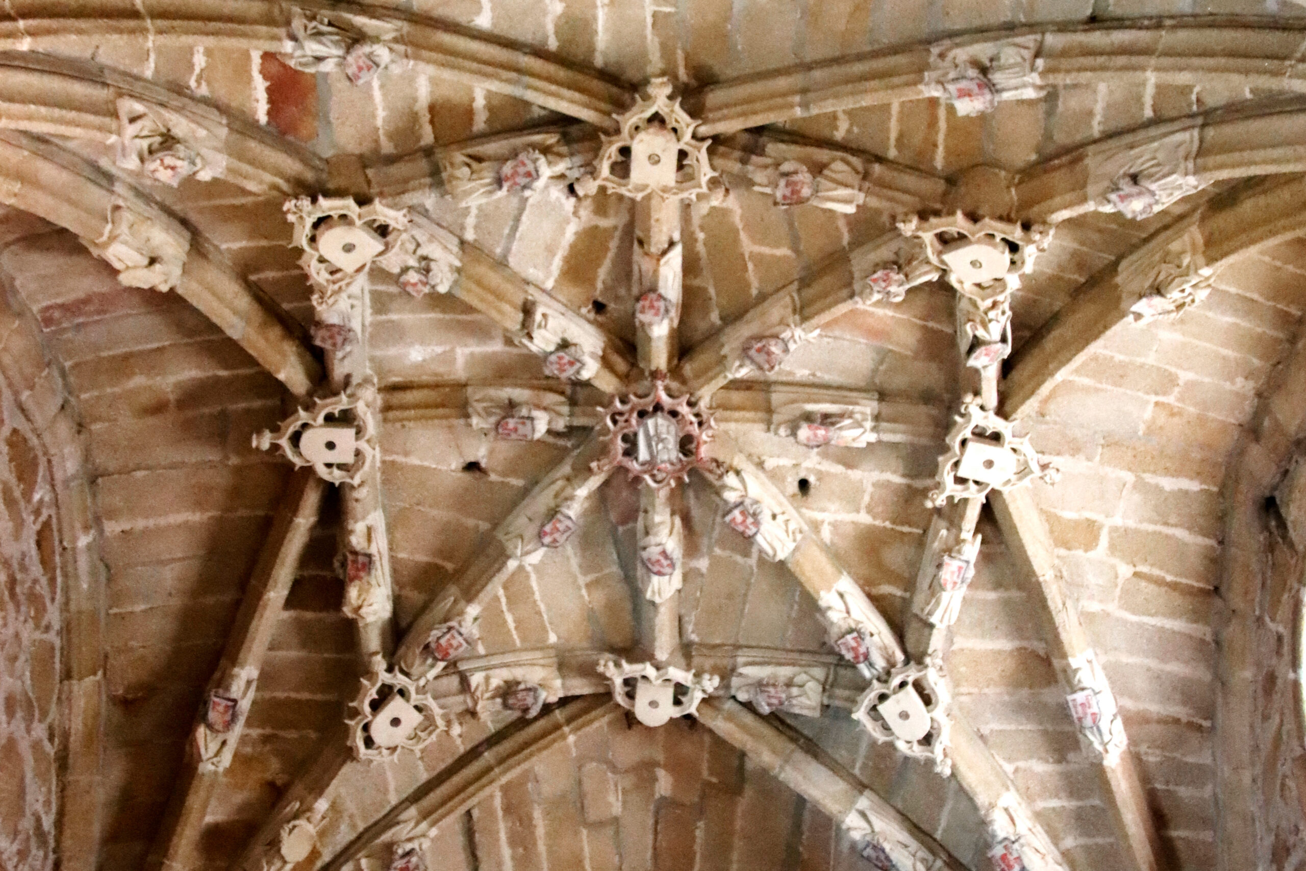 Foto detalle de un techo de la Catedral
