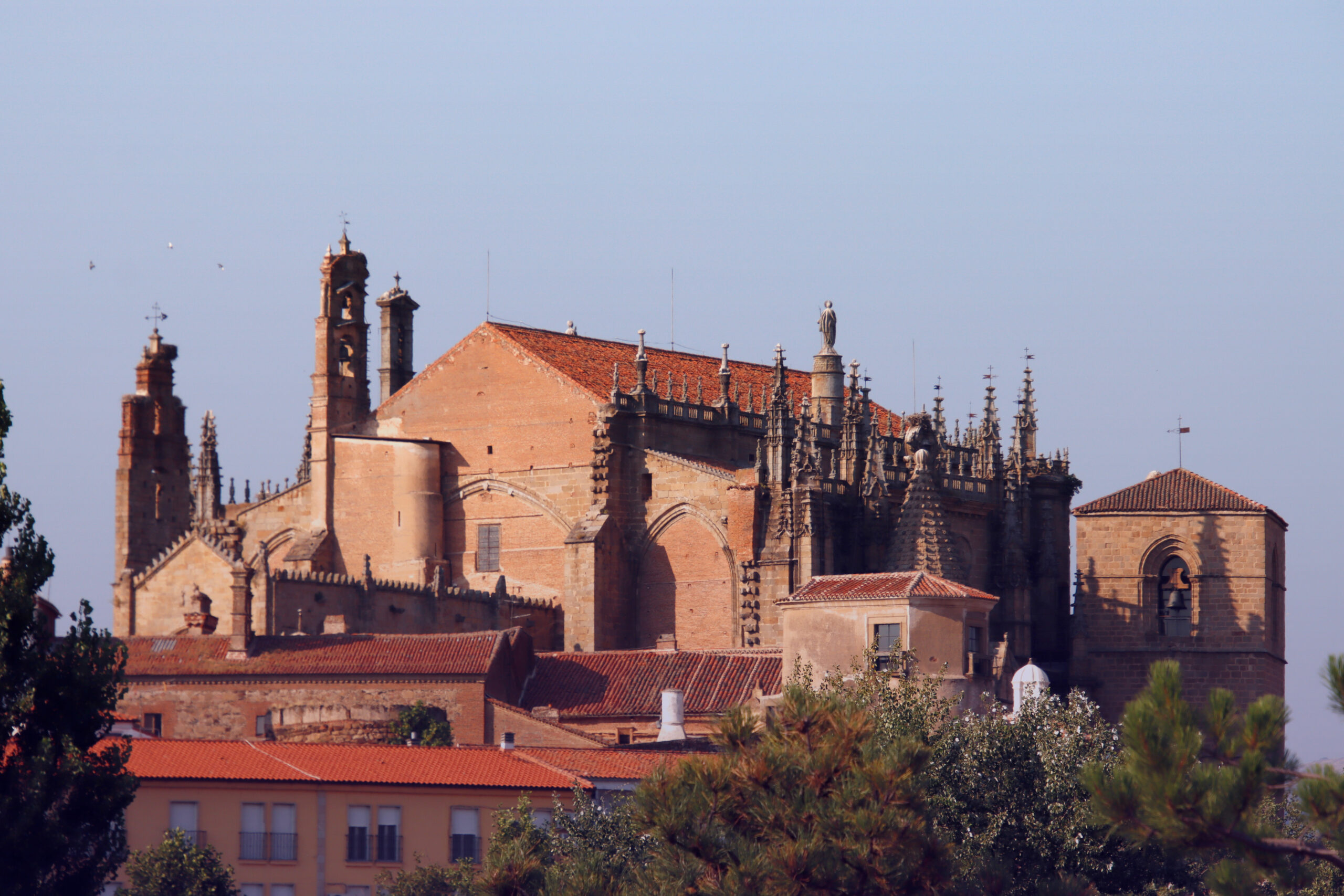 Foto de un lateral exterior de la catedral nueva